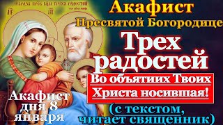 Акафист Пресвятой Богородице пред иконой Трех радостей, молитва Божией Матери Три радости
