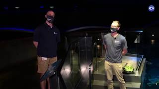Virtual Visit: World Sea Turtle Day Featuring... Myrtle!