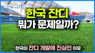 한국이 이제야 이 악물고 잔디 개발하는 이유. 한국 잔디는 대체 뭐가 문제일까?ㅣ축구 경기의 생명 잔디의 모든 것ㅣ해외 잔디 비교ㅣ하나뿐인 지구ㅣ#골라듄다큐