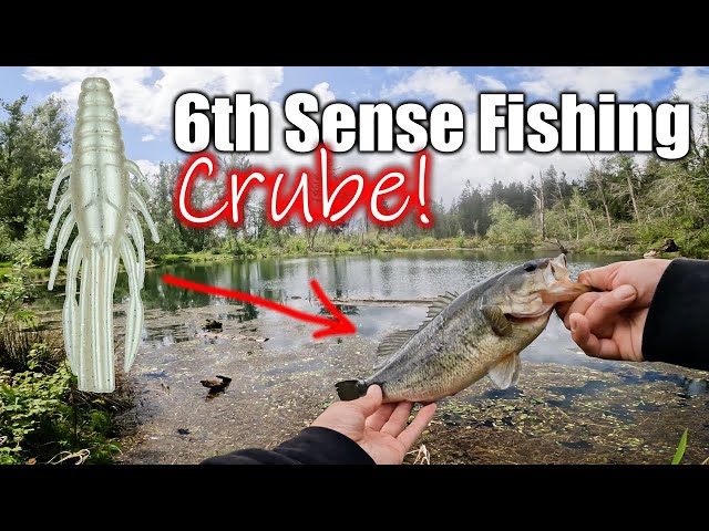 Fishing With A New Lure! (6th Sense Crube) 