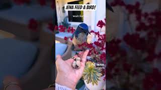 Jena feed a bordo!#jena #jasonderulo #feedshorts #feed #birds