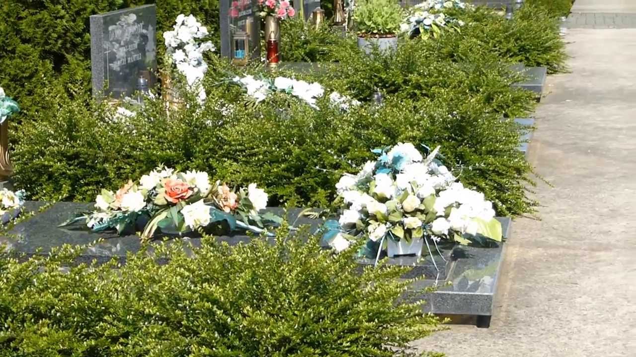 11975, Unas tumbas adornadas con flores [Efecto], Vida y muerte YouTube