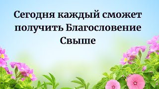 Сегодня каждый сможет получить Благословение Свыше.