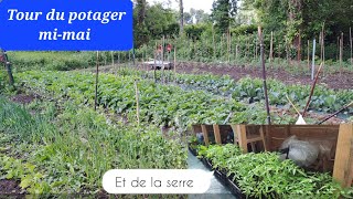 Tour du potager mi-mai 2024