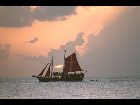 Video: Bewertung Der Auswirkungen Der Zuckerhaltigen Getränkesteuer Auf Barbados Auf Den Getränkeverkauf: Eine Beobachtungsstudie