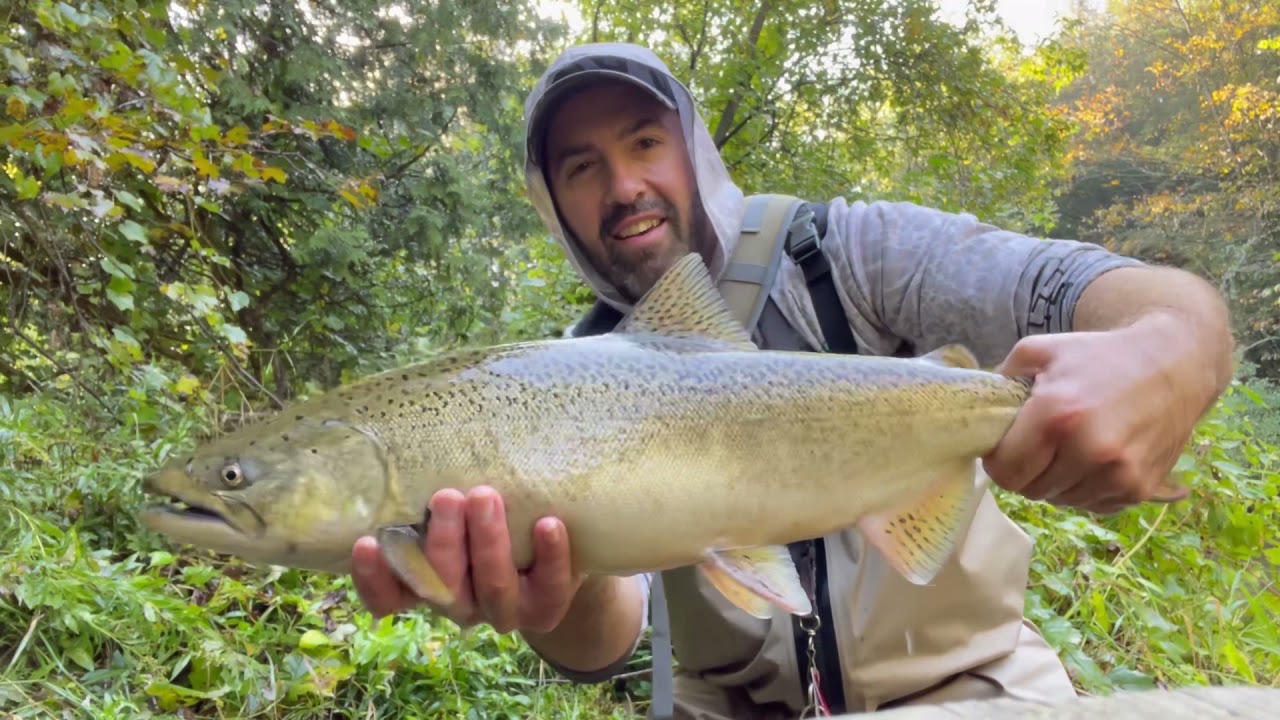 Float fishing for big King Salmon 