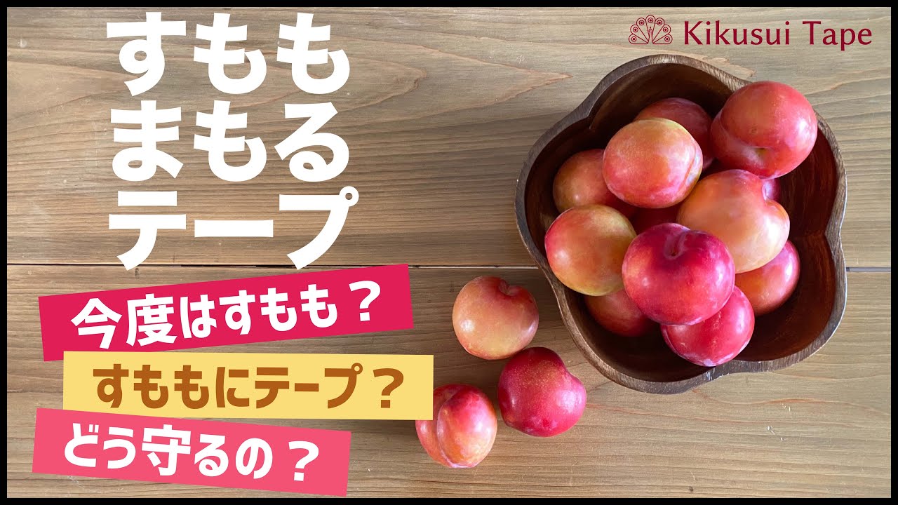 すももまもるテープ】生育中のりんごや梨、すももに傷を付けたくない
