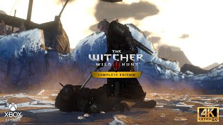 Witcher 3: Geralt Vs Caranthir Boss Fight/No Signs/No Potions/No Bombs/No Damage/NG+/Death March