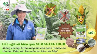 Nemaking 10GR – Diệt tuyến trùng, quản lý sâu hại hiệu quả trên bắp!