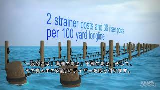 SEAPA シングルシード牡蠣養殖・干潟ロングラインの設置方法