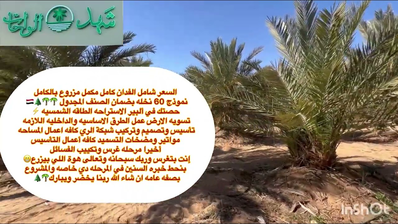 لو معاك 375 ألف فقط تقدر تشتري المزرعه دي 🌴🌴🌲