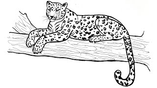 How to Draw a Realistic Leopard  || Easy Step by Step Leopard Drawing