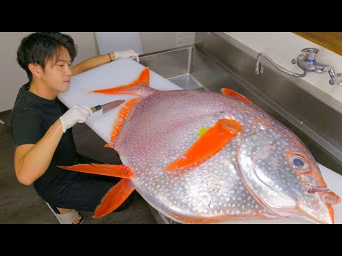 Breaking Down Extraordinary 40kg Opah. Lump of Fat With Shocking Taste!