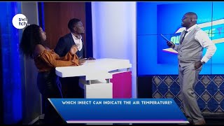 Which insect can indicate the air temperature? The M.A Team goes against Team Wakuu