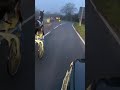 Funny Horse racing with accident M4 motorway UK