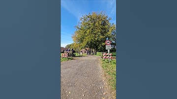 Spoorwegovergang Boekelo // Dutch Railroad Crossing