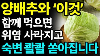 양배추와 함께 먹으면 보약되는 음식 3가지와 레시피 총정리! 값비싼 영양제 대신 &#39;이것&#39; 드세요 I 변비에 좋은 음식, 위염에 좋은 음식 I