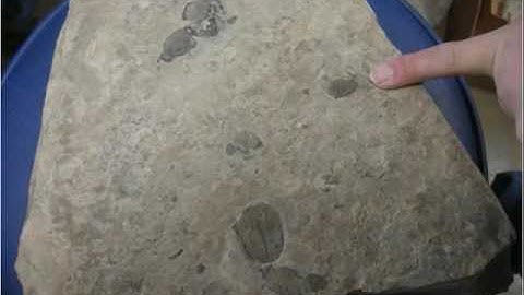 Fossil Prep. tutorial part 3