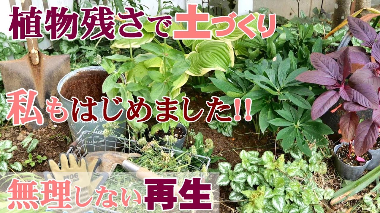 朽ちた植物で土づくり 循環型ガーデニング 花壇にカルスnc R 再生色々 寄せ植え スコップ 種 Youtube