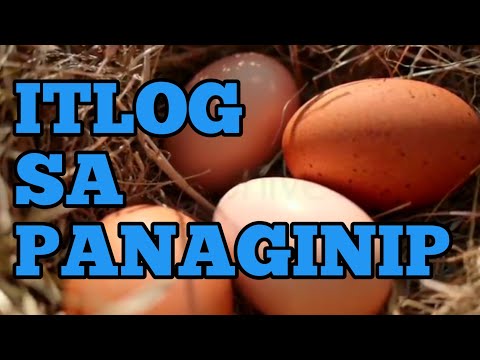 Video: Ano Ang Ibig Sabihin Ng Pagmamarka Ng Mga Itlog Ng Manok?