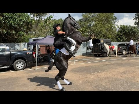 400 Cavaleiros  No Desfile de Cavaleiros De Santa Rita de Caldas Minas Gerais 🛑