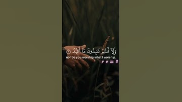 سورة💕 الكافرون🌺 بصوت💐 اسلام🌼 صبحي🌷
