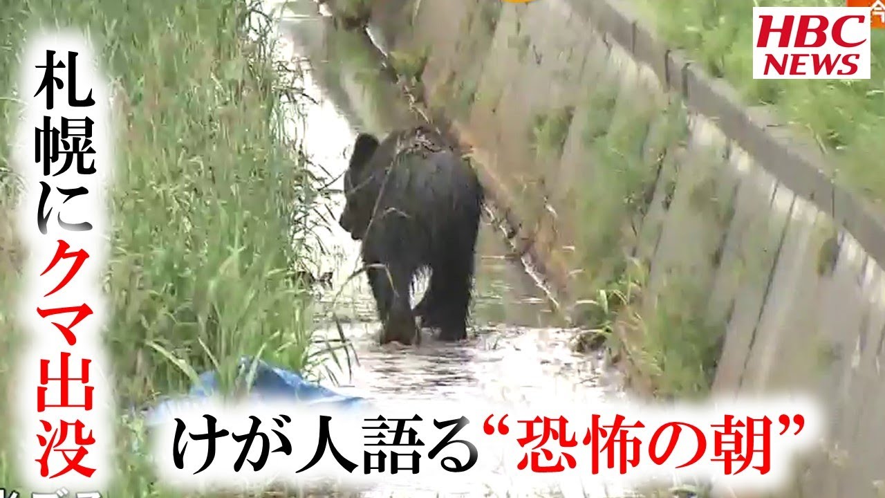熊 ニュース 北海道