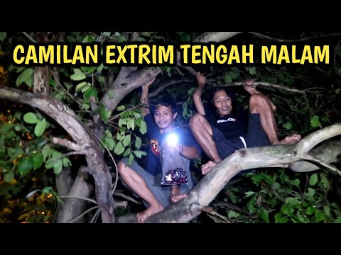 MAKAN JUWET (JAMBLANG) DENGAN CABAI - eksperimen membuat manisan pedas