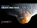 FumeFX Web Tear - 3ds max Tutorial