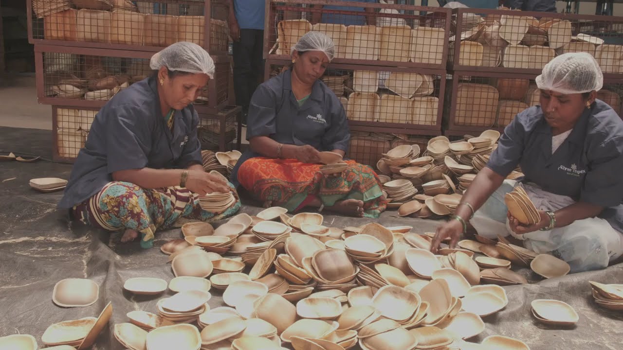 Areca Palm Leaf  Sorting Quality check - Shree Impex