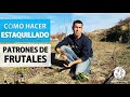 Cómo hacer: ESTAQUILLADO de portainjertos de FRUTALES