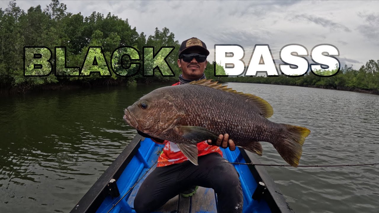 FULL STRIKE TRIP AKHIR BULAN DAPAT IKAN BESAR -BESAR !!!