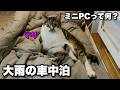 【猫と車中泊】台風の日に動画編集とゲームができる高性能ミニPCを車の中で使ってみた|GEEKOM A9 MAX(AI9 HX470モデル)レビュー
