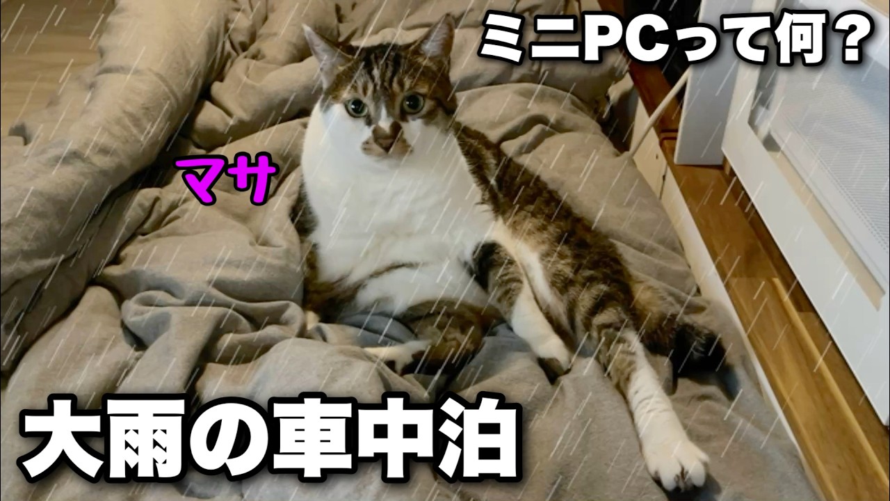 【猫と車中泊】台風の日に動画編集とゲームができる高性能ミニPCを車の中で使ってみた｜GEEKOM A9 MAX（AI9 HX470モデル）レビュー