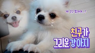 ENG SUB _ ​A Dog Misses her Friend