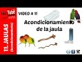 Jaula - Acondicionamiento