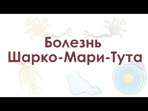 Эти Металлы создают САМЫЕ МОЩНЫЕ МАГНИТЫ!