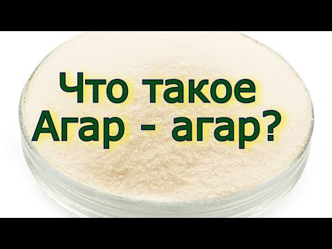 Что такое агар - агар?