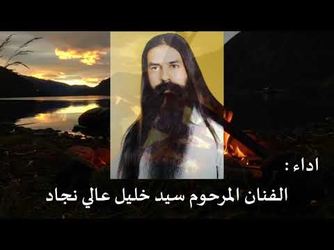 پادشه خوبان مليك الحسان حافظ الشيرازي سيد خليل عالي نجاد مترجمة