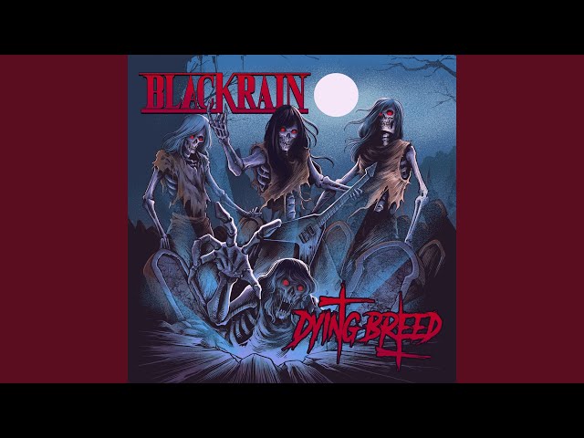 BlackRain - We Are The Mayhem