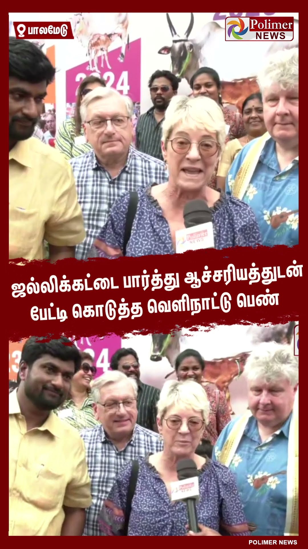 ஜல்லிக்கட்டை பார்த்து ஆச்சரியத்துடன் பேட்டி கொடுத்த வெளிநாட்டு பெண் #shorts