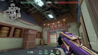 Haven Defense Cypher Garage Oneway Cage by TL nAts