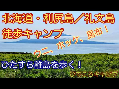 【北海道キャンプ】利尻島礼文島へ徒歩ソロキャンプ！海鮮でキャンプ飯！徒歩で巡る離島暮らし！