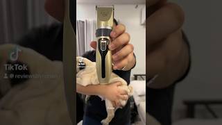 GROOMING MADE EASY! Presenting the Pet Grooming Hair Clipper! #pet #razor #grooming #furbabies #pug