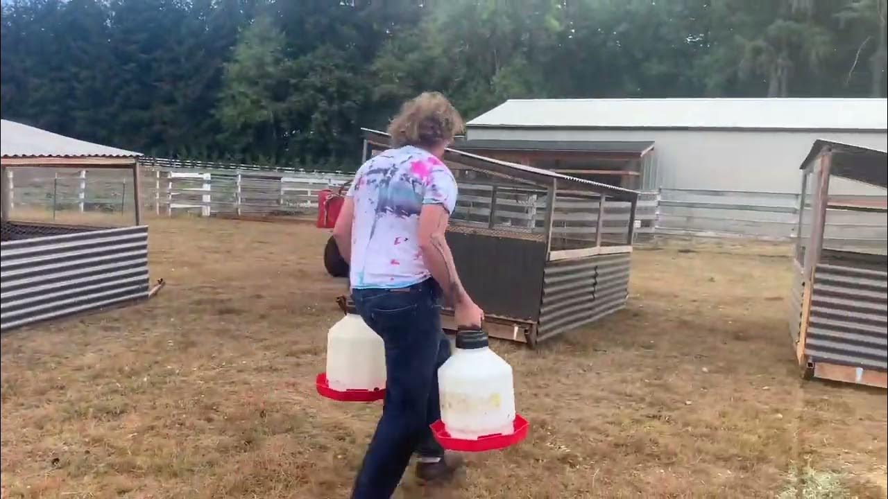 pasturedpoultry olympic relay YouTube