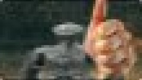 How to install dsr enemy item randomizer with seamless-coop (english)