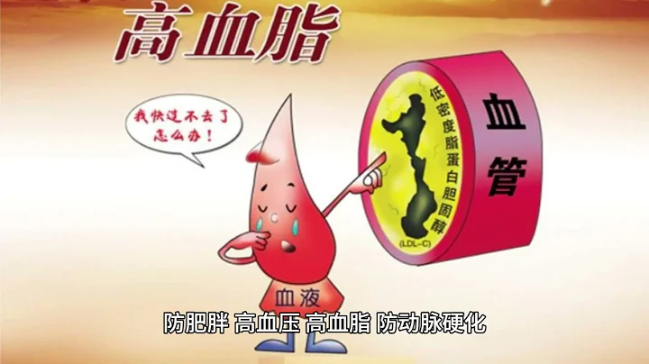 素时刻五谷膳食粉 ：一人素一地球 - 天天要闻