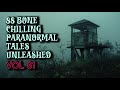 88 bone chilling paranormal tales unleashed  vol 61