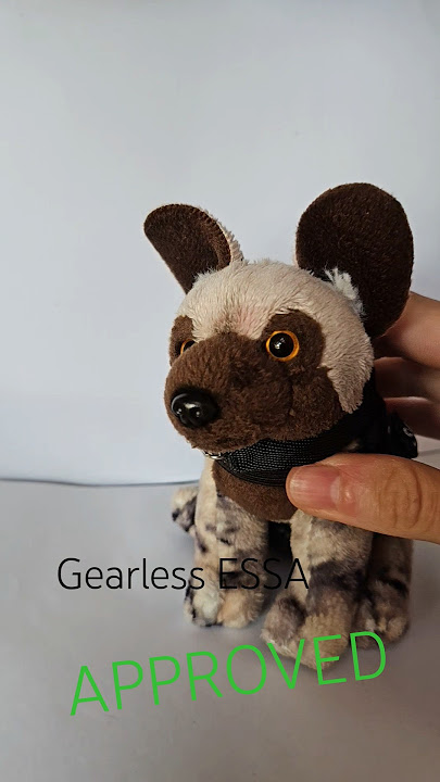 comfort plushie = ESSA #essa #emotionalsupportstuffedanimal #stuffedanimals #shorts #fyp #valid