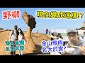 【移民台灣生活】野柳現在變這樣！？逛金山老街吃廟口鴨肉 港人新手駕駛上路！｜貓奴與寵物移民紀錄 #領養不棄養 #新北旅遊